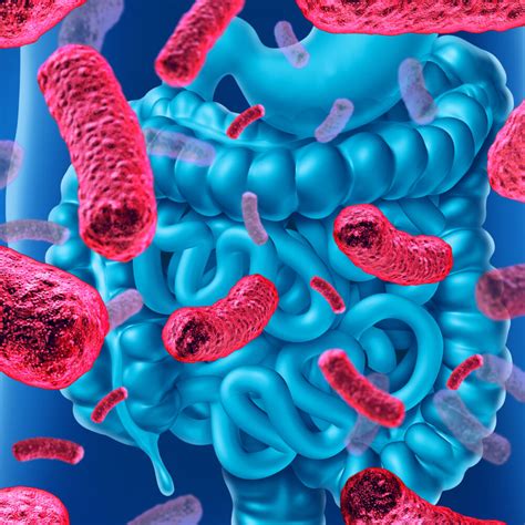 probiotics mucus in stool