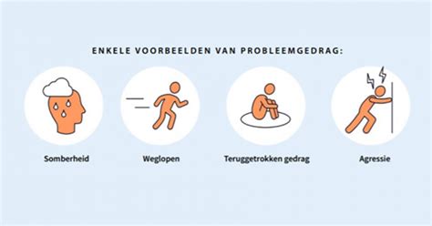 probleemgedrag