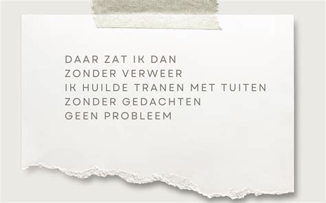 probleemloos