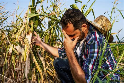 Problems Faced By Farmers