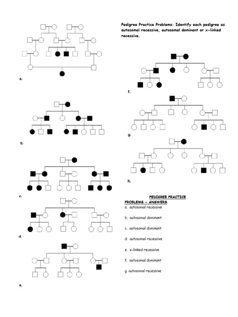 Problems On Pedigree Analysis With Answers