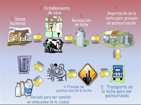 Proceso De La Leche