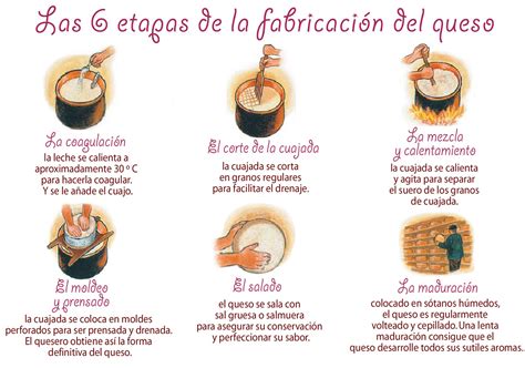 Procesos Basicos De Elaboracion De Quesos