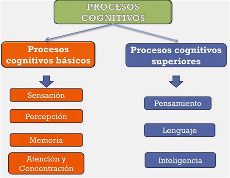 Procesos Cognitivos Basicos