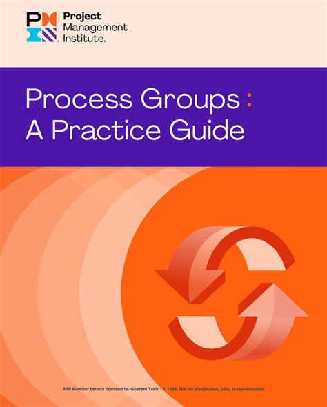 Process Groups A Practice Guide