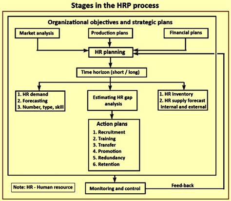 Process Of Hrp