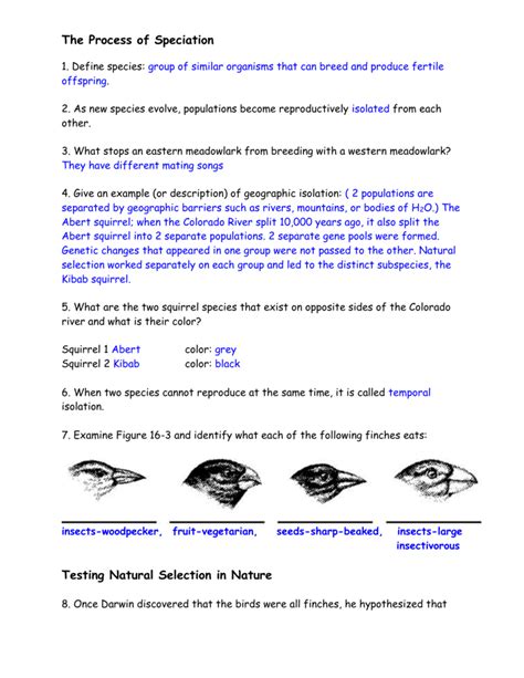Process Of Speciation Workbook Answers