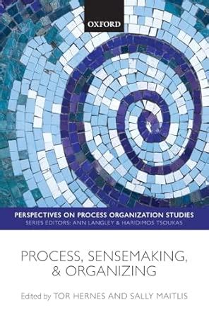 Process, Sensemaking, And Organizing ( Perspectives On Process Organization Studies)