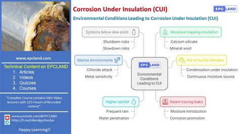 Process Steam Pipe Cui Evalutation