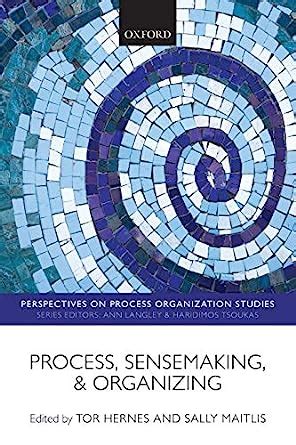 Read Online Process Sensemaking And Organizing Perspectives On Process Organization Studies 