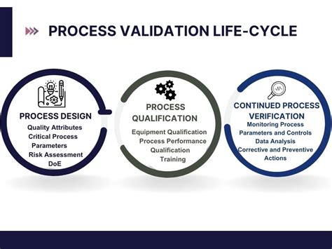 Read Online Process Validation A Lifecycle Approach 