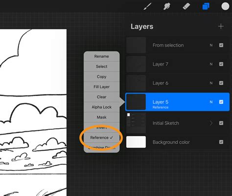 Procreate Reference Layer Meaning