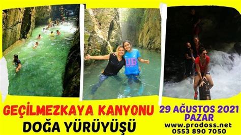 veodersti.rgarabwor.edu.pl. 