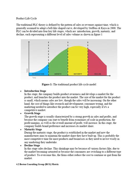 product life cycle case study maggi