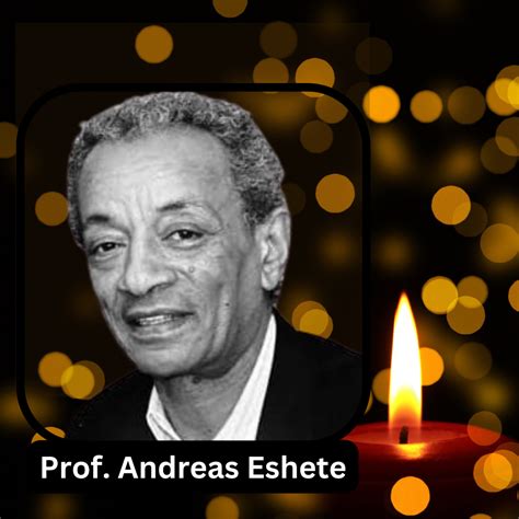 prof andreas eshete biography examples