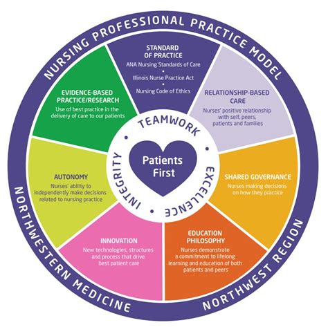 Professional Practice Of Nursing