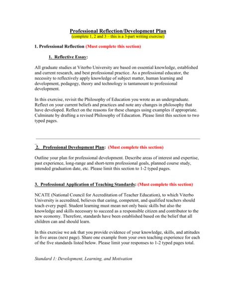 professional reflection development plan a reflective essay