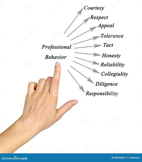 professioneel gedrag