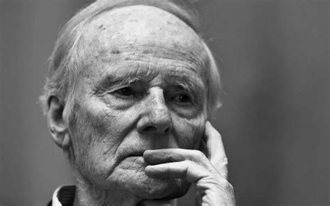 professor robert spaemann brain