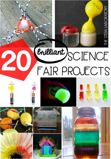 Profitable Science Truthful Tasks And Experiments For Highschool Science Experiments - Highschool Science Experiments