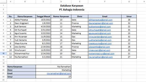 Program Data Karyawan Excel