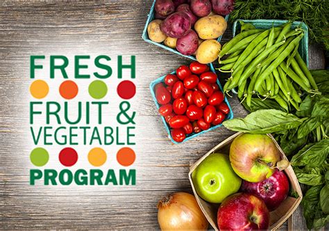 Program Providing Extra Fruit Vegetables To Kids Set Kid Science Expirements - Kid Science Expirements