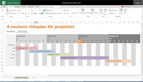 programhantering projektplan uppgift