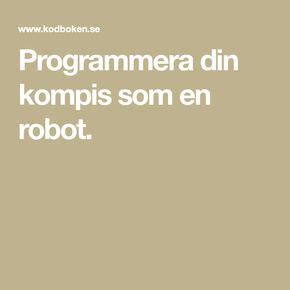 programmera din kompis