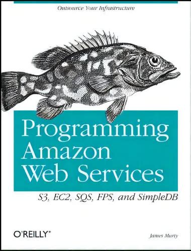 Programming Amazon Web Services S3 Ec2 Sqs Fps And Simpledb