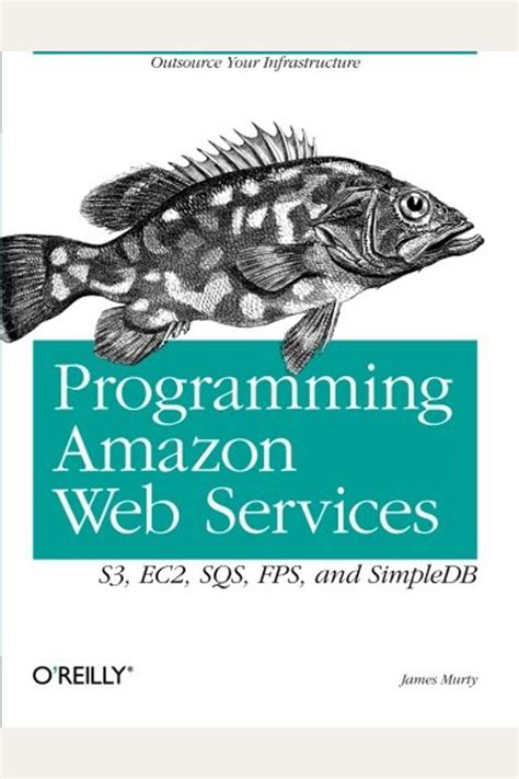 Download Programming Amazon Web Services S3 Ec2 Sqs Fps And Simpledb 