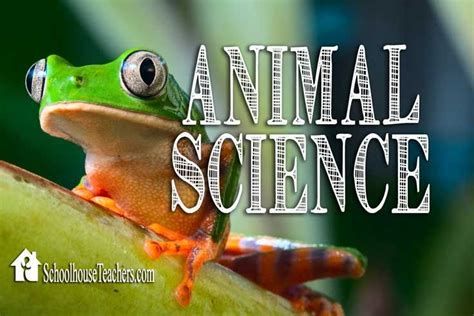 Project Category Animal Science Animal Science Activities - Animal Science Activities