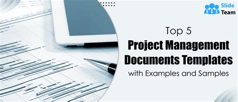 Read Online Project Management Document Examples 