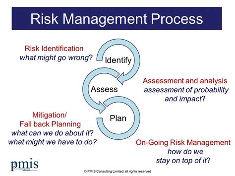 Read Project Management Risk Analysis 