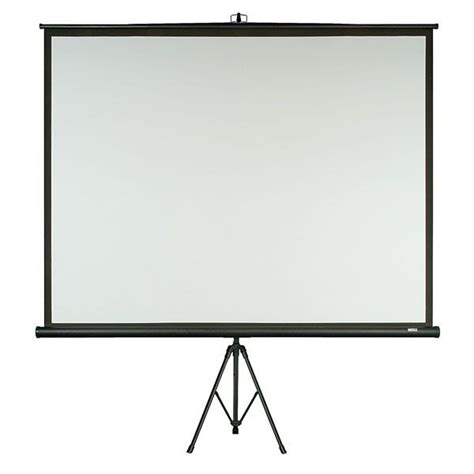projectiescherm 100 inch 169