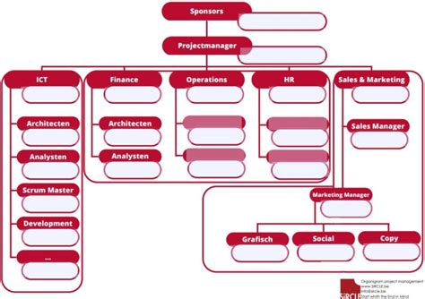 projectteam structuur