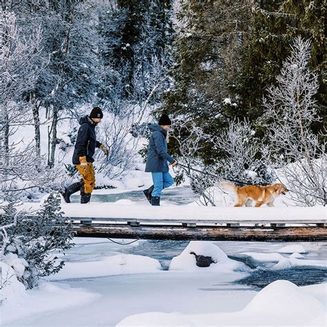 promenad vinter