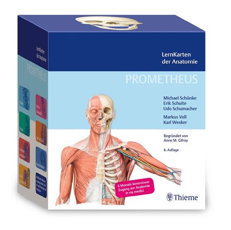 prometheus lernkarten der anatomie box mit 367 le
