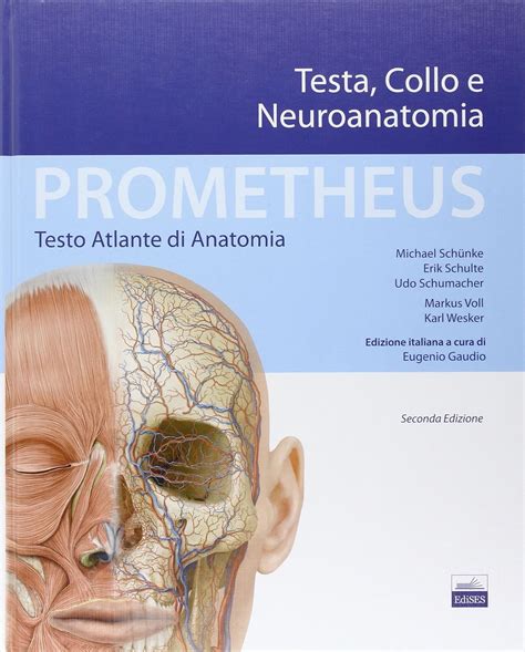 Download Prometheus Atlante Di Anatomia Testa Collo E Neuroanatomia 