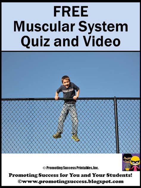 Promoting Success Free Muscular System Activities For Science Muscular System Worksheet Middle School - Muscular System Worksheet Middle School