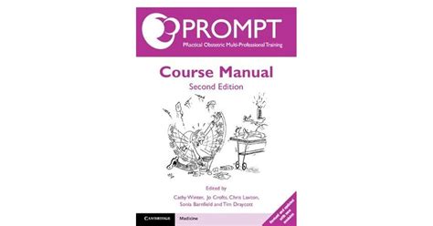 Prompt Course Manual