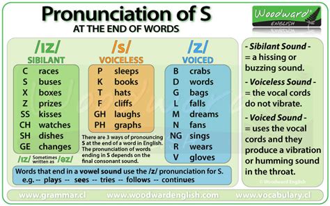 Pronouncing The S Sound Examples And Tips For S Sound Words With Pictures - S Sound Words With Pictures