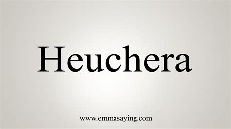 pronunciation of heuchera