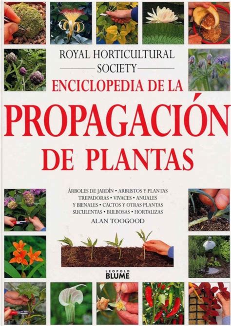 Read Online Propagacion De Plantas Principios Y Practicas 