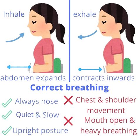 Proper Breathing Brings Better Health Scientific American Science Behind Deep Breathing - Science Behind Deep Breathing