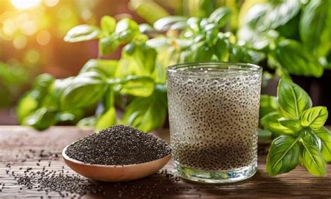 Properties Of Basil Seeds