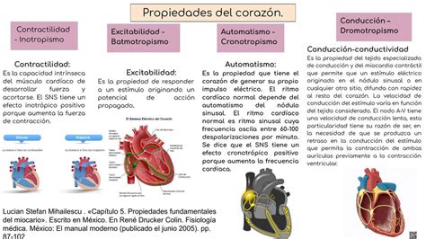 Propiedades Del Corazon