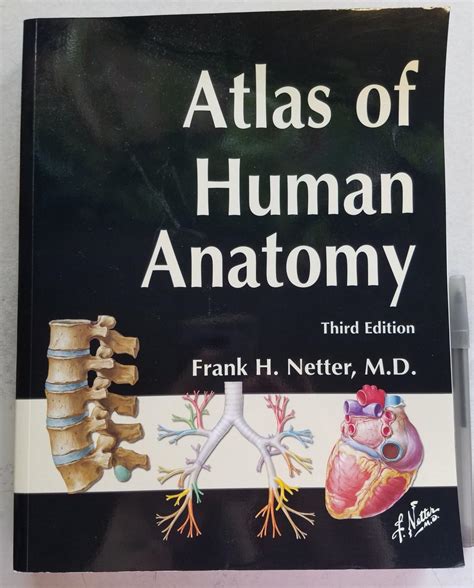 prospectiondesign Netter Anatomy Book