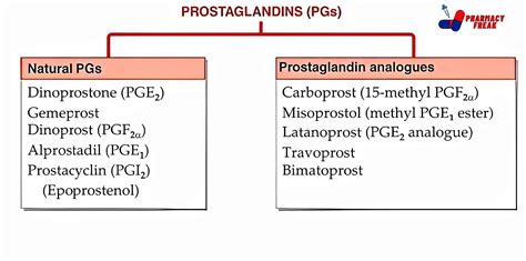 prostaglandin adalah