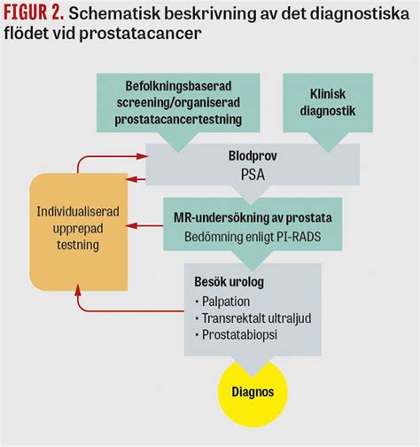 prostatacancer utredning