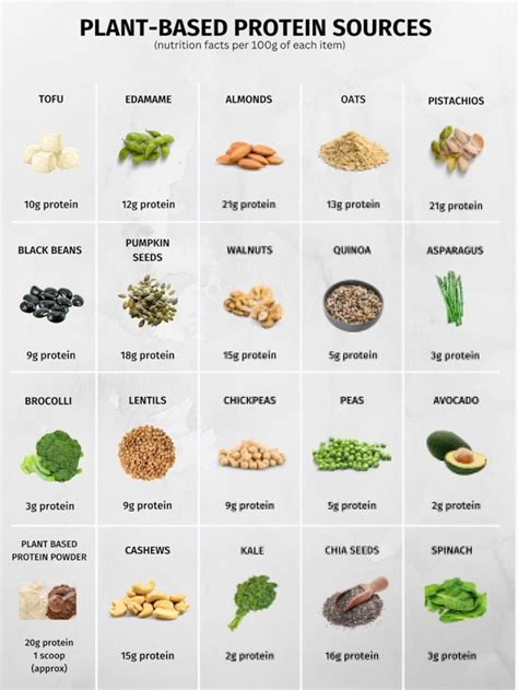Protein Food Chart